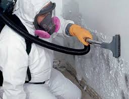 Best Black Mold Removal in Newcomerstown, OH